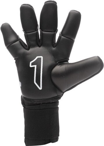 Rinat-Arien Nemesis Semi Ne-2