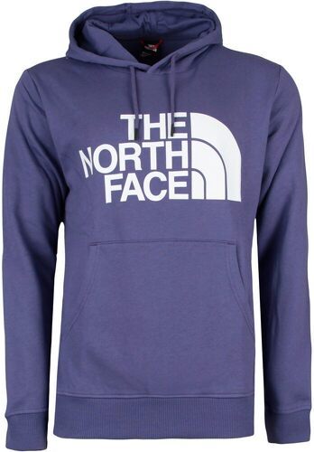 THE NORTH FACE-M Standard Hoodie-0