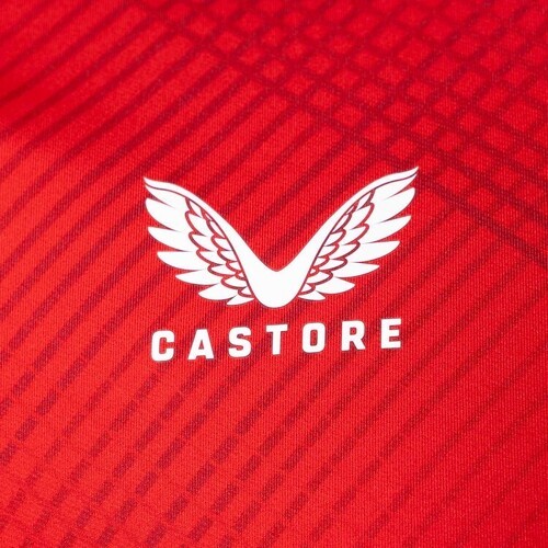 Castore-Castore Sevilla Fc Pre Match 2023/2024-3