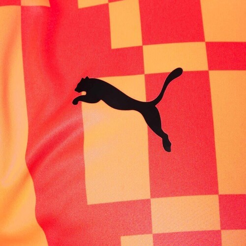 PUMA-Puma IndividualRISE Graphic-2