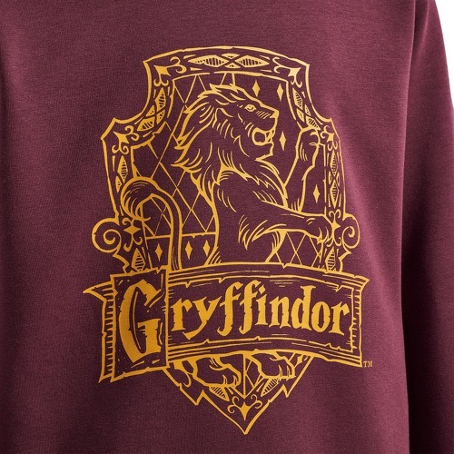 HUMMEL-Hmlharry Potter Hoodie-2