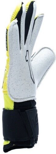 Rinat-Egotiko Stellar Alpha Ambl-1