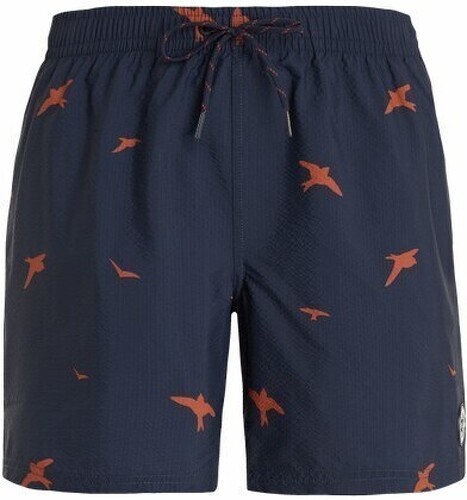 PROTEST-PRTZINZU beachshort-3