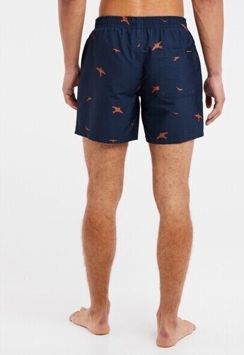 PROTEST-PRTZINZU beachshort-1