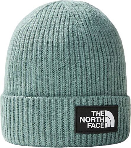 THE NORTH FACE-Casquette Logo Box Dark Sage-0