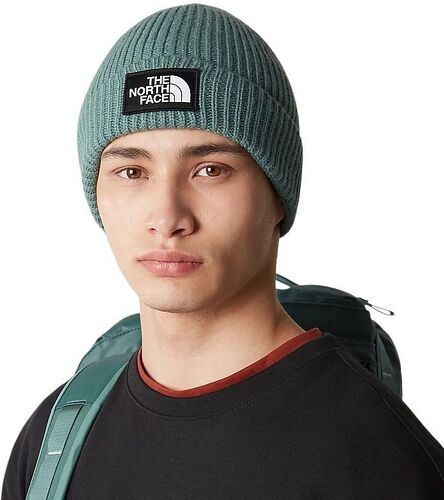 THE NORTH FACE-Casquette Logo Box Dark Sage-2