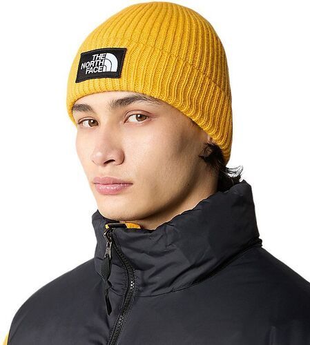 THE NORTH FACE-Casquette Logo Box Summit Gold-1