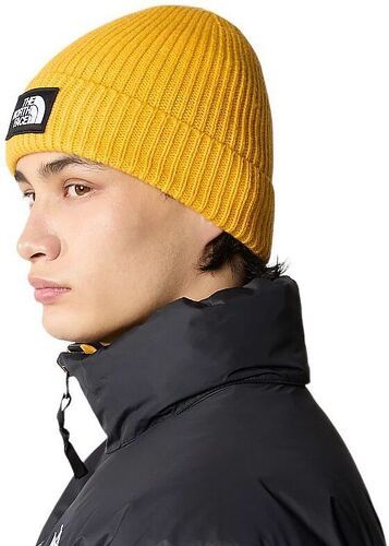 THE NORTH FACE-Casquette Logo Box Summit Gold-2