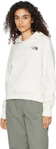 THE NORTH FACE-Pull Nuptse Face Hoodie-1