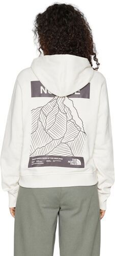 THE NORTH FACE-Pull Nuptse Face Hoodie-3