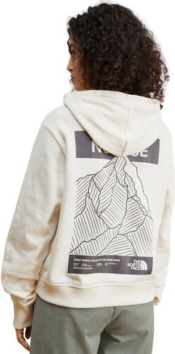 THE NORTH FACE-Pull Nuptse Face Hoodie-4