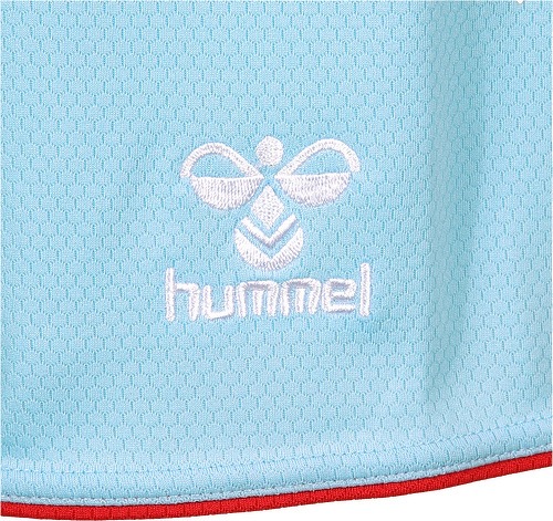 HUMMEL-1. Fc Köln Pantaloncini Third 2023/2024-3