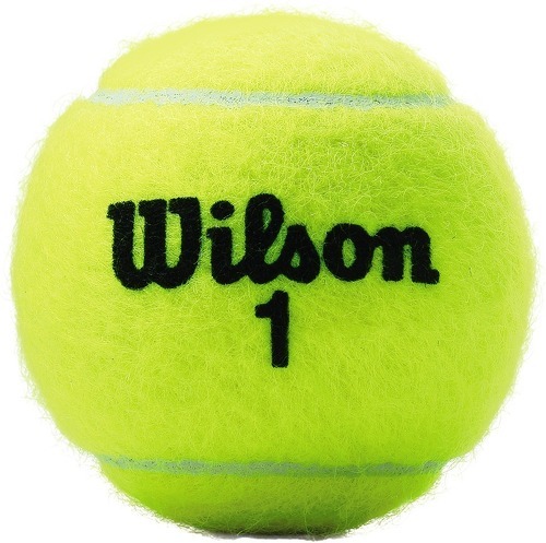 WILSON-Boîte de 3 balles Championship Extra Duty-2