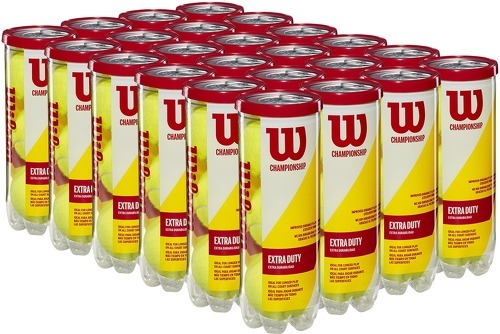 WILSON-Boîte de 3 balles Championship Extra Duty-3