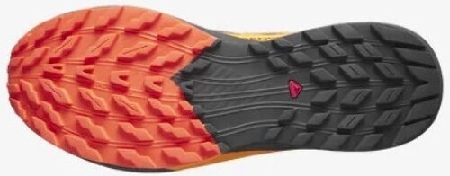 SALOMON-SENSE RIDE 5 GTX Orange / Noir   AH 2023-3