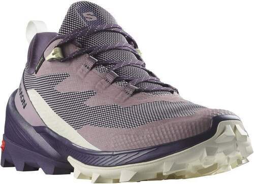 SALOMON-Cross Over 2 Gore-Tex-3