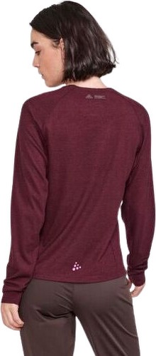 CRAFT-Adv Trail Wool Wind Tee-2