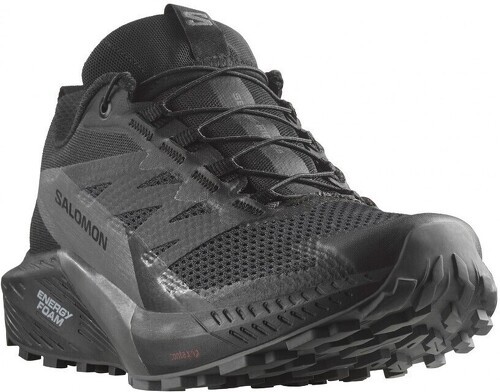 SALOMON-Sense Ride 5 GTX W-1