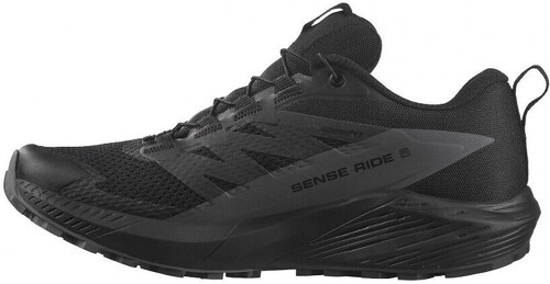 SALOMON-Sense Ride 5 GTX W-2