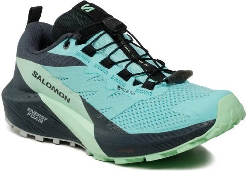 SALOMON-Sense Ride 5 GTX-1