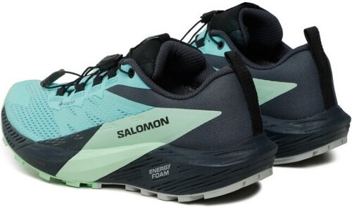 SALOMON-Sense Ride 5 GTX-2