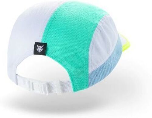 INCYLENCE-Signature Cap-1