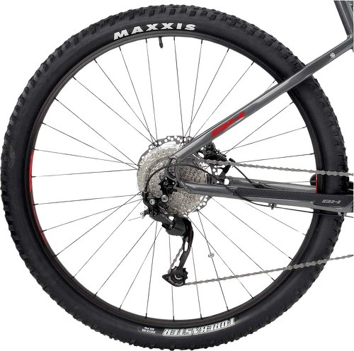 BH-Atom 29 22-1