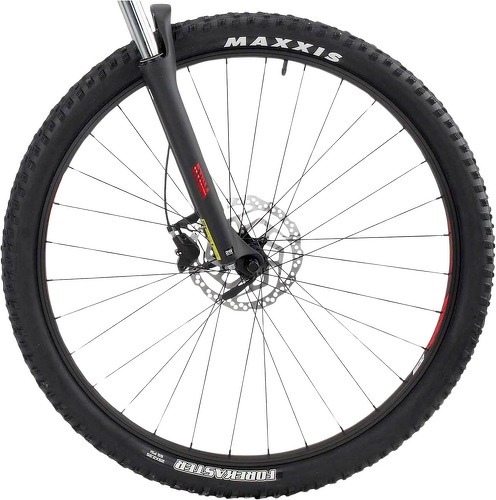 BH-Atom 29 22-3
