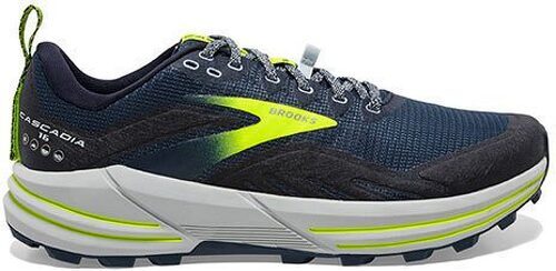 Brooks-Cascadia 16-0