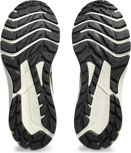 ASICS-GT-1000 12 TR-1