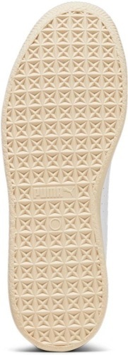 PUMA-Clyde Service Line-2