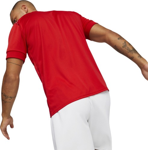 PUMA-Suisse Coupe du Monde 2022 domicile-4