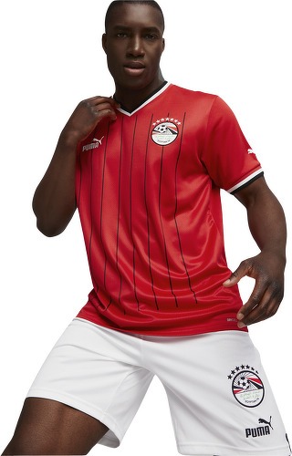 PUMA-Home Egitto 2022/23-2