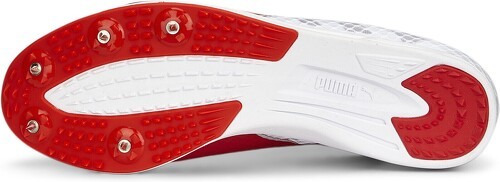 PUMA-Evospeed Distance 11-1