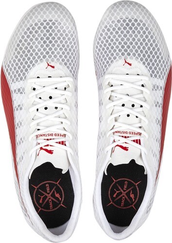 PUMA-Evospeed Distance 11-3