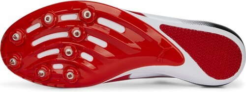 PUMA-evoSPEED Sprint 14-1