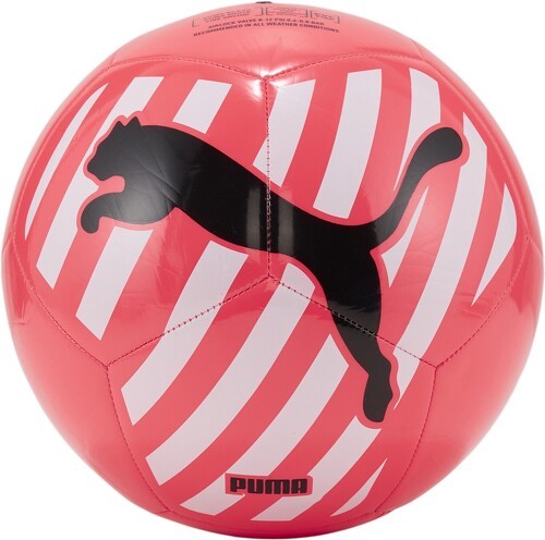 PUMA-PUMA Fußball Big Cat 83994 05-image-1