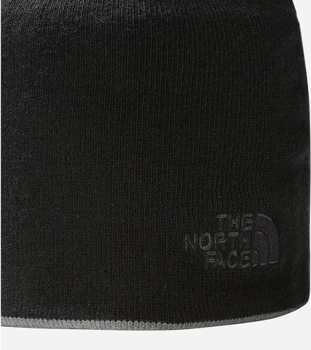 THE NORTH FACE-Reversible Tnf Banner Beanie-2