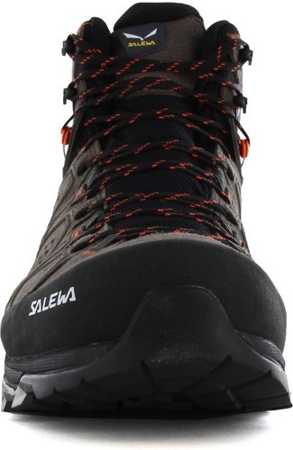 SALEWA-MS Alp Trainer 2 Mid Gore-Tex-1