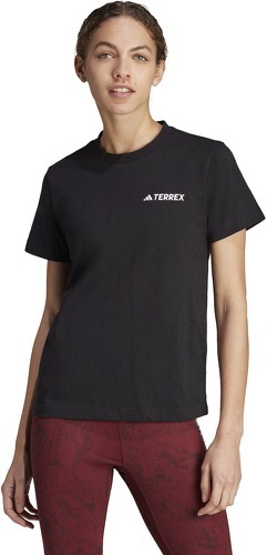 adidas Performance-T-shirt Terrex Graphic Altitude-1