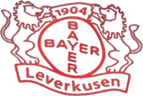 Castore-Castore Bayer Leverkusen Training 2023-2024-2
