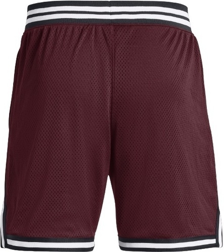 UNDER ARMOUR-Curry Mesh Short 3-2