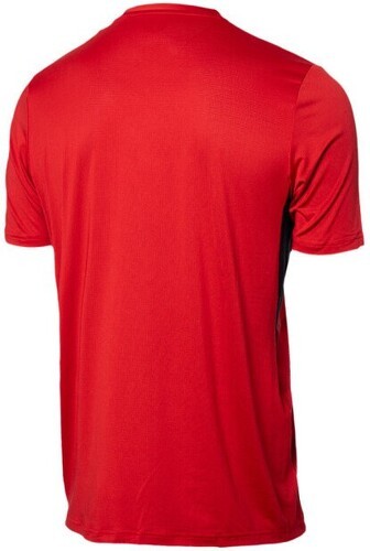 Castore-Castore Feyenoord Di Rotterdam Allenamento 2023/2024-1