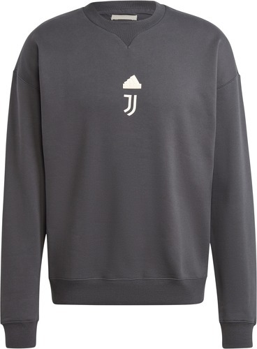 adidas Performance-Sweatshirt Juventus Turin Lifestyler 2023/24-image-1