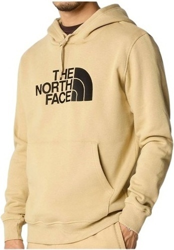 THE NORTH FACE-Sudadera The North Face M Drew Peak Pullove-image-1