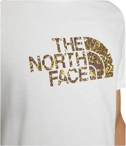 THE NORTH FACE-M Easy Tee-2