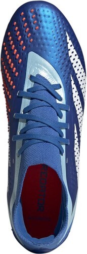 adidas Performance-Predator Accuracy.2 Multi-surfaces-1