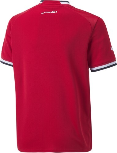 PUMA-Maillot Home Égypte 22/23 Enfant et Adolescent-1