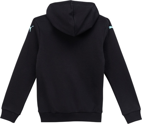 PUMA-THW Kiel Graphic Hoodie Jr-1