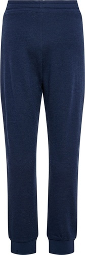 HUMMEL-HMLWONG PANTS-1